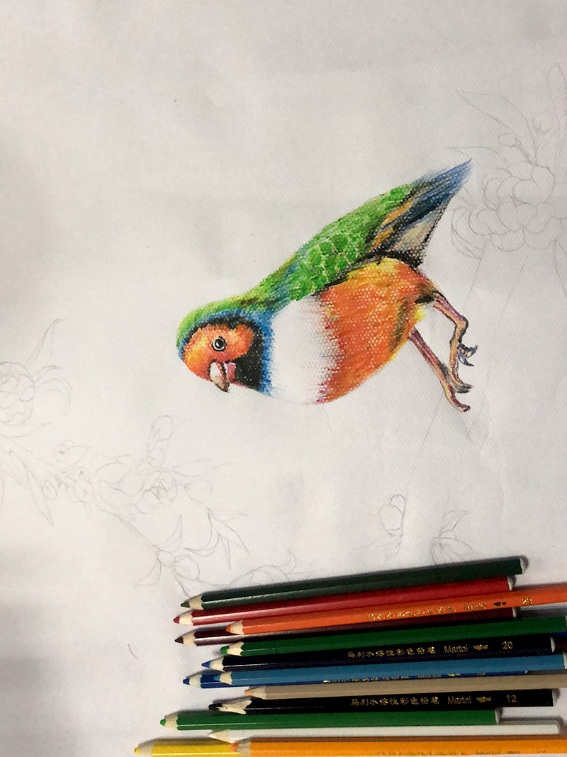 兒童青少年法繪畫培訓(xùn)